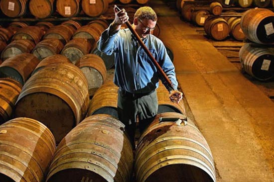 thùng gỗ sồi chứa rượu Whisky 