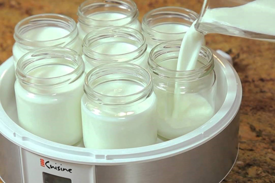 Cách làm sữa chua không cần ủ vừa tiện vừa ngon
