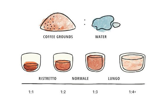 tỷ lệ pha của các loại espresso
